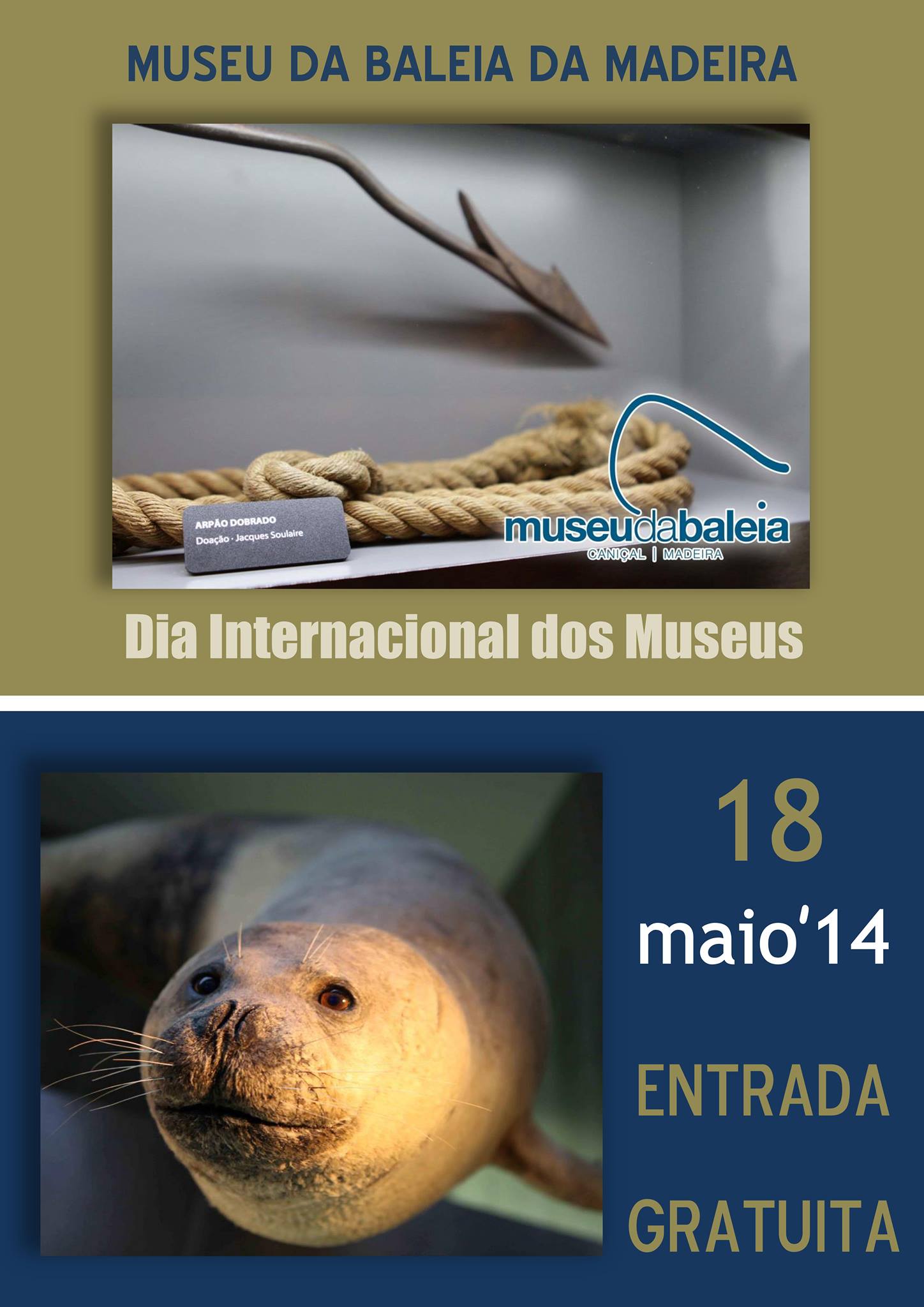 10273340 587802014651702 991197432347738306 o