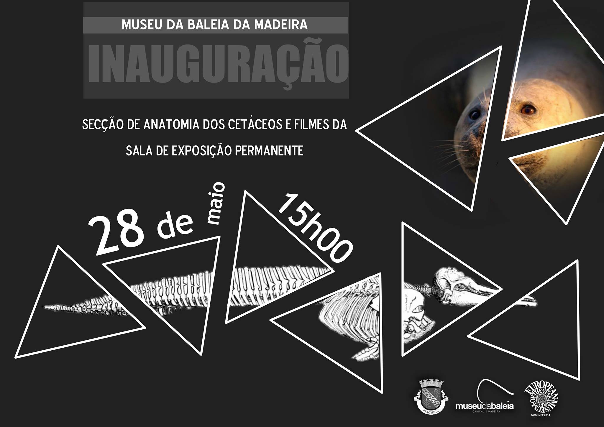 1512012 590840371014533 8273525823598355612 o