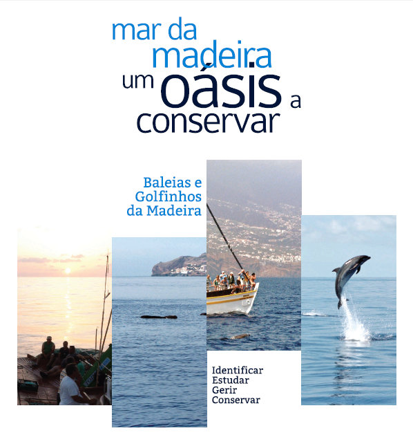 Captura de ecrã total 04-06-2014 120802