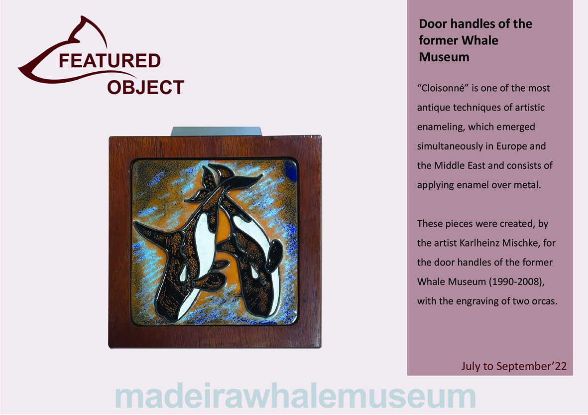 Peca em destaque - 2 trimestre 2022-Ingl