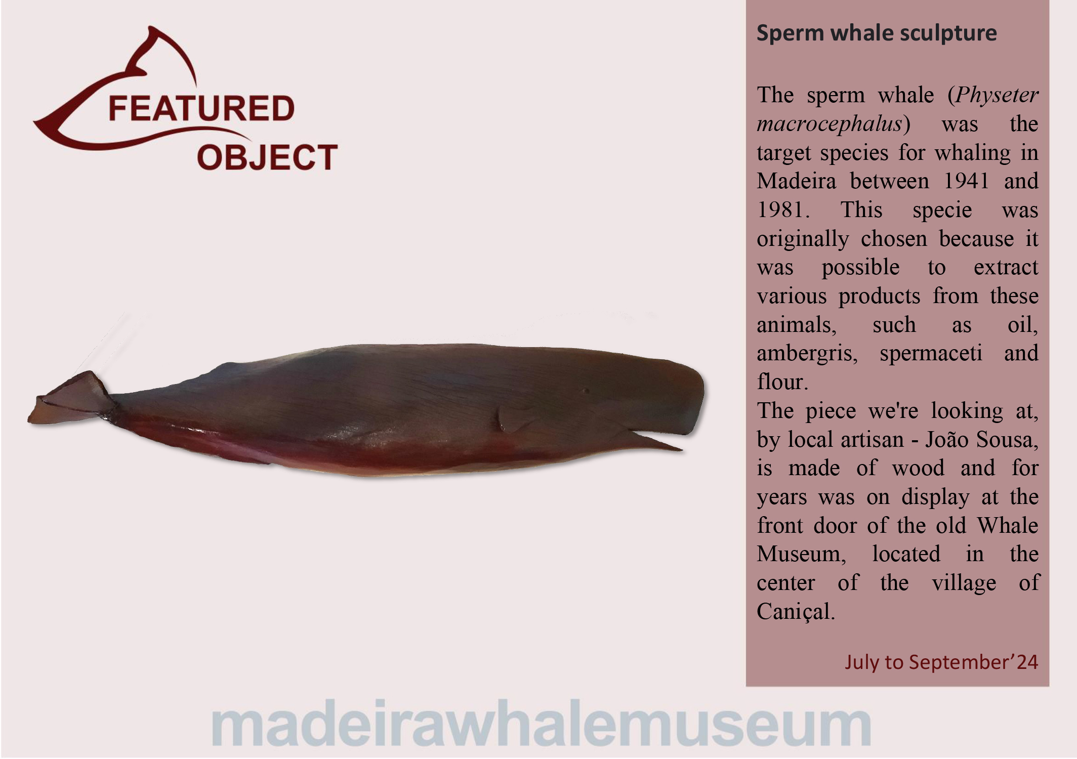 Peca destaque - 3 trimestre 2024-ingl