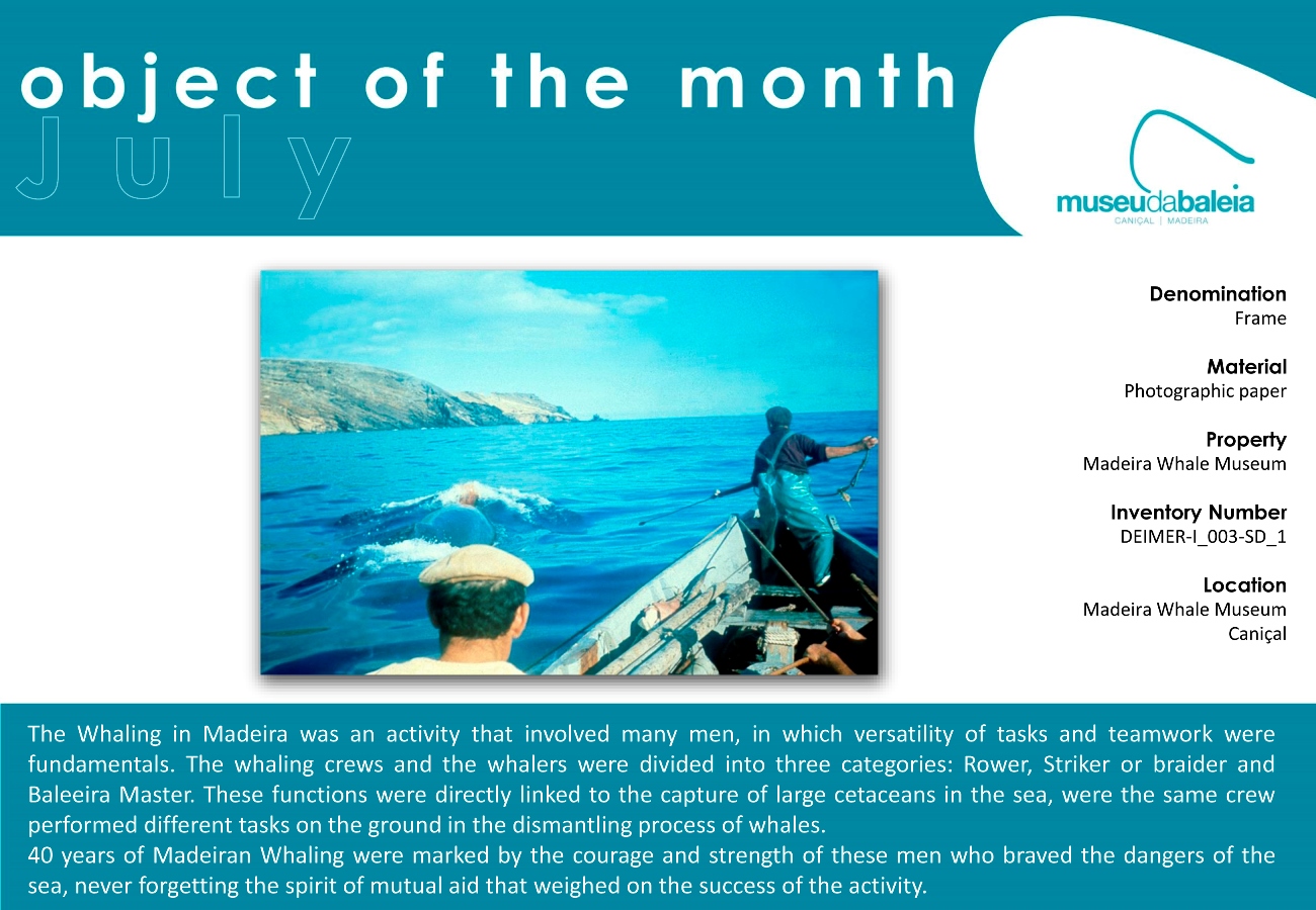 Peça do Mês - julho 2016-ingl