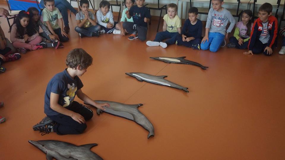 12235110 861523943946173 553488687099776962 n