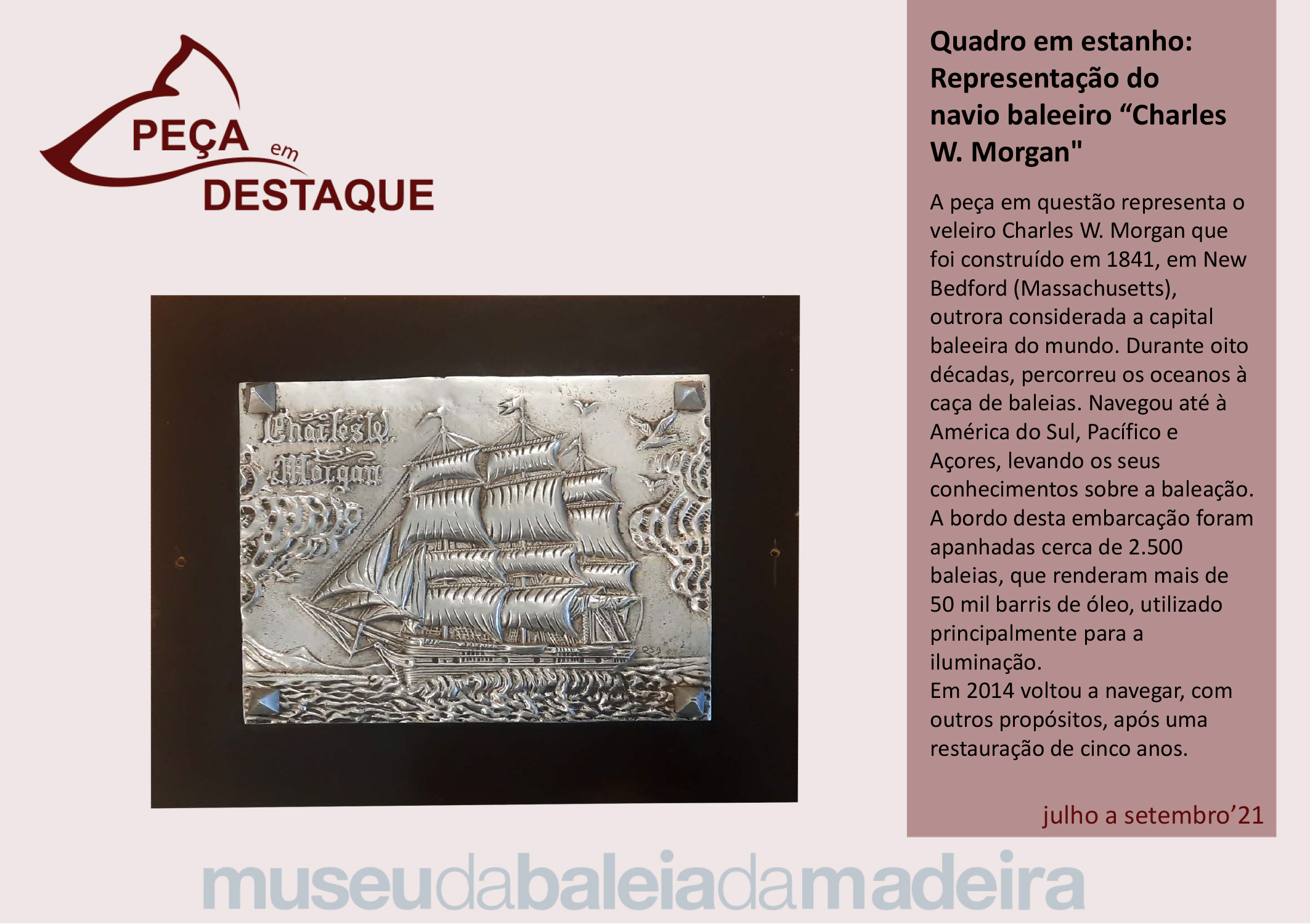 Pea em destaque - 3 trimestre 2021-port