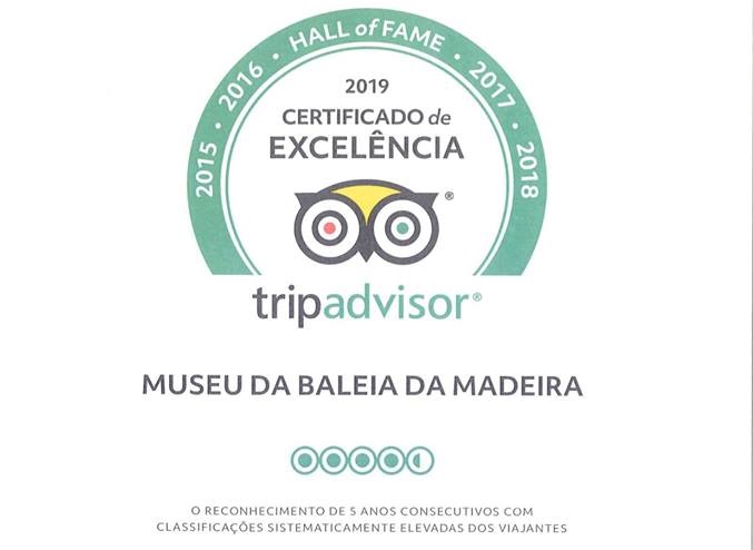 Trip Advisor