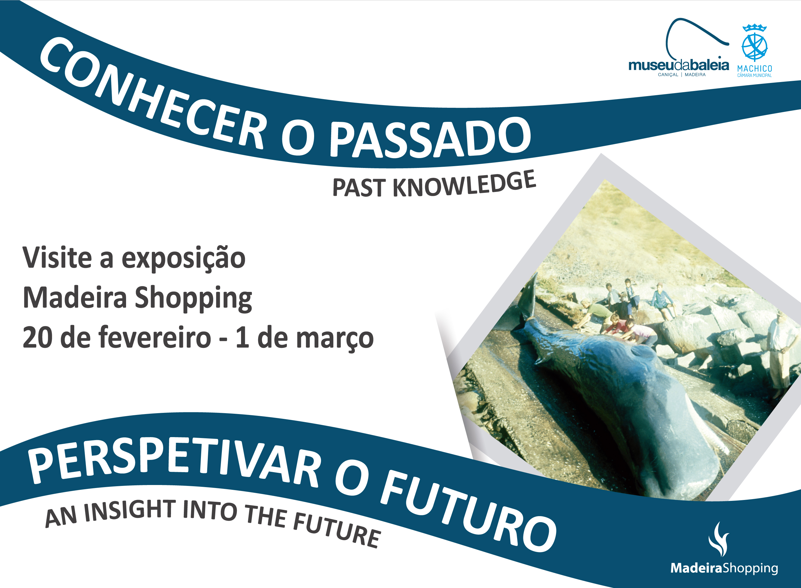 CARTAZ - exposio - Madeira Sopping