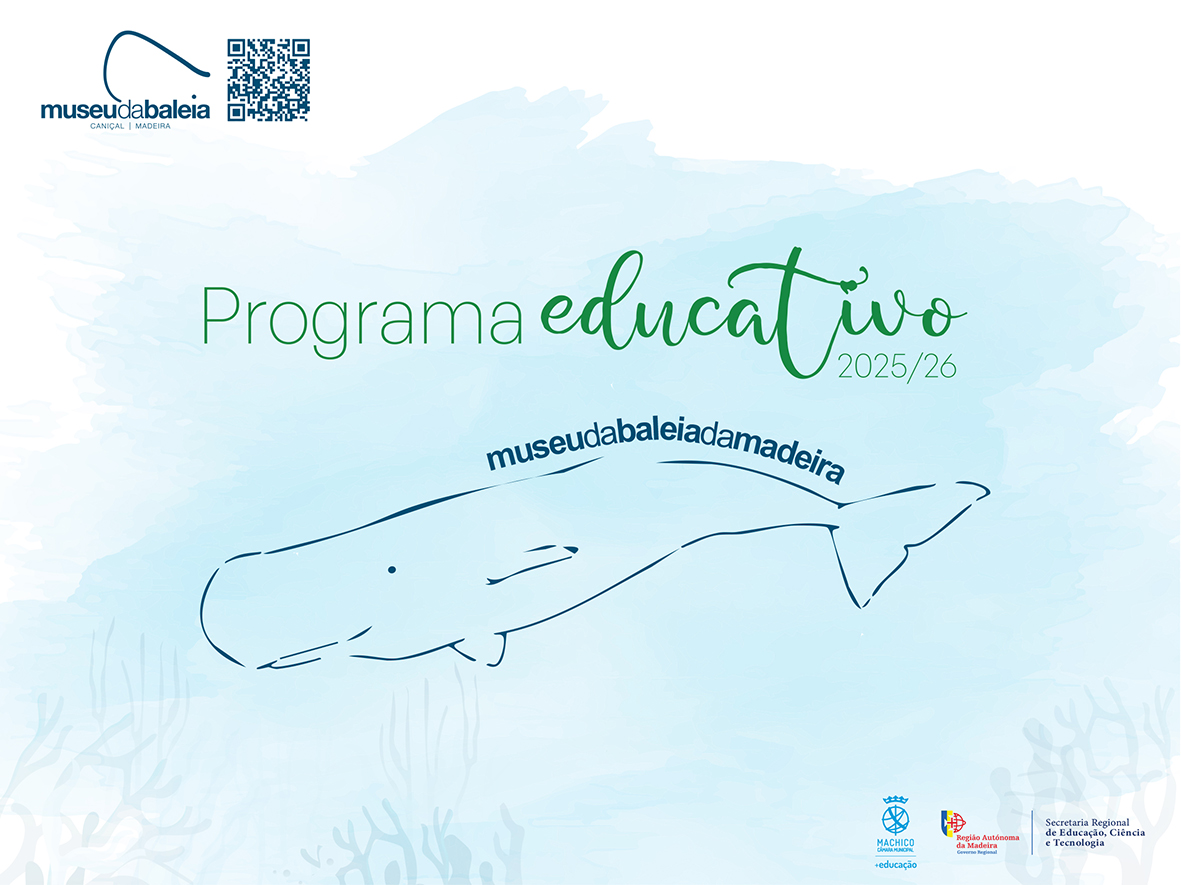 Capa programa educativo1