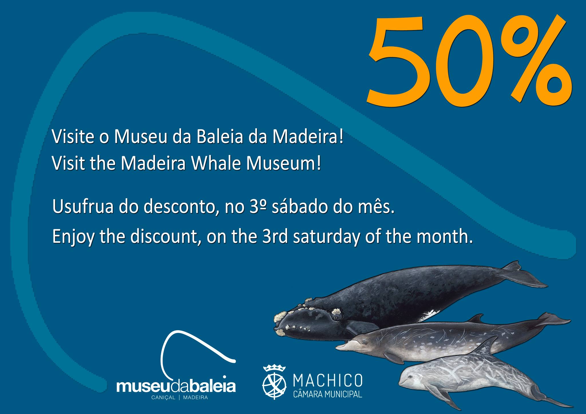 Cartaz 50 2021 pt eng