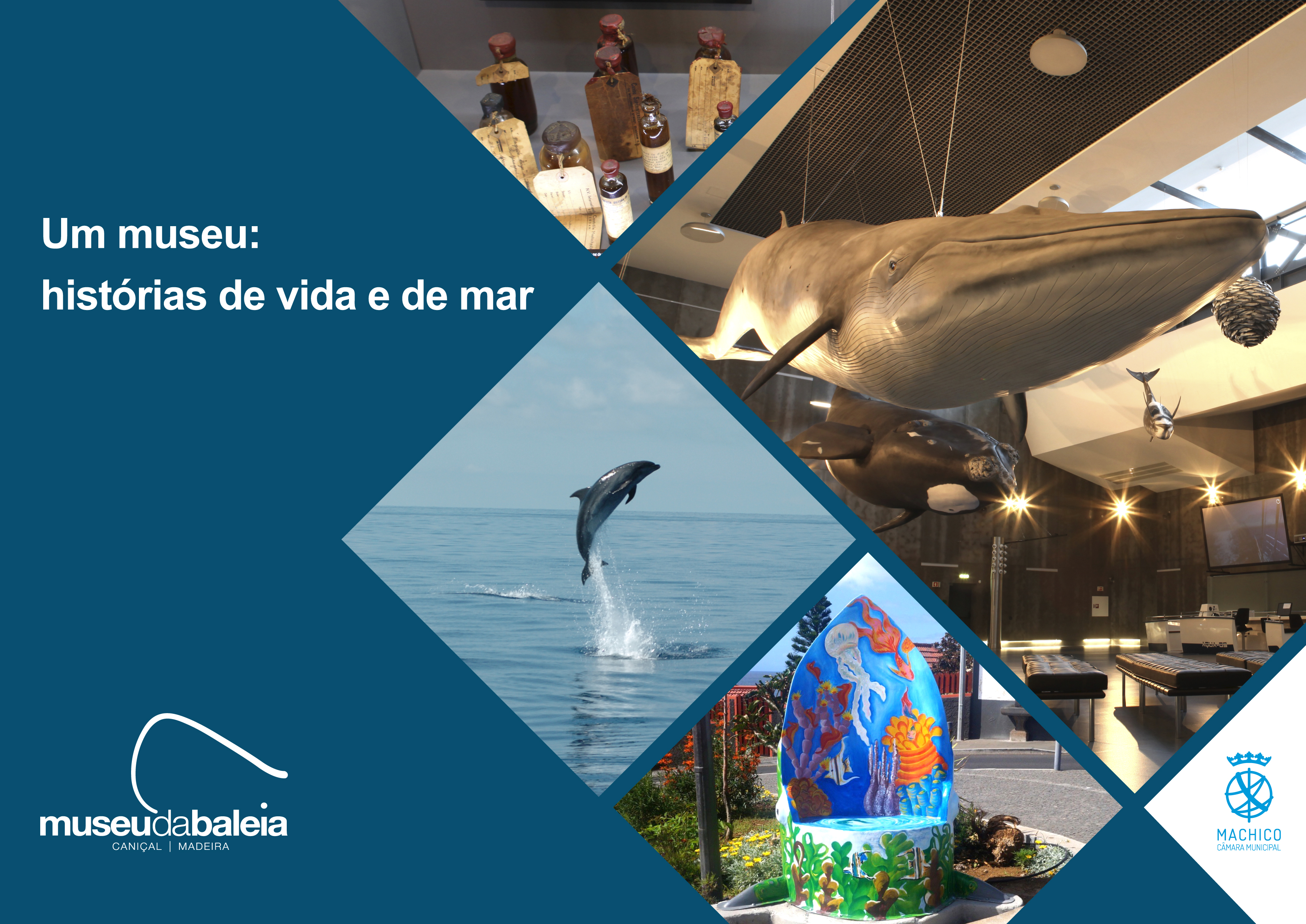 Cartaz Exposio Museu