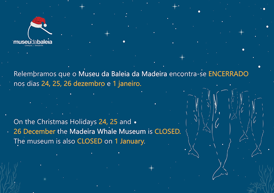 Cartazde encerramento Natal 2025