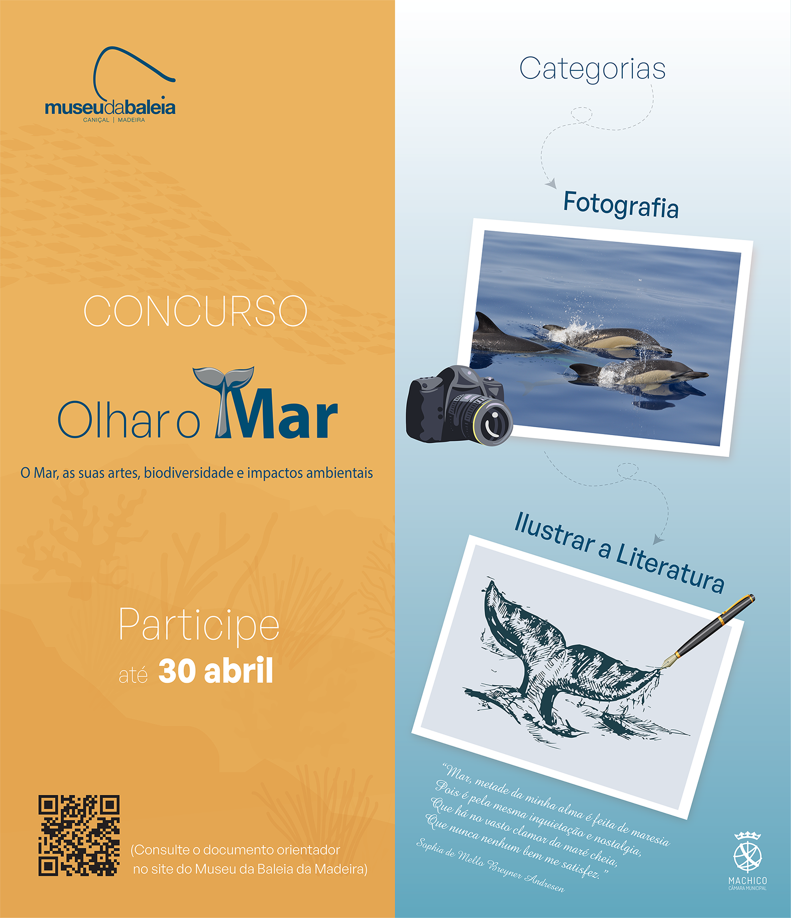 Olhar o mar 2025