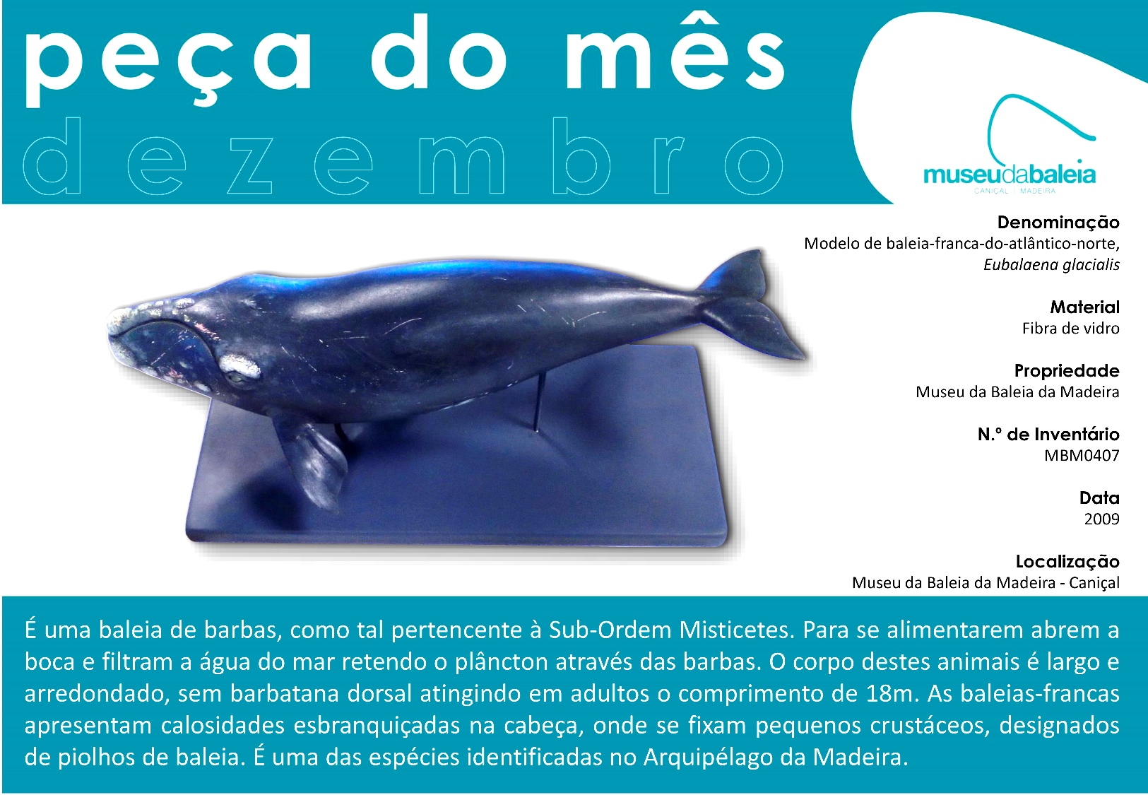 Peça do Mês - Dezembro 2016-port