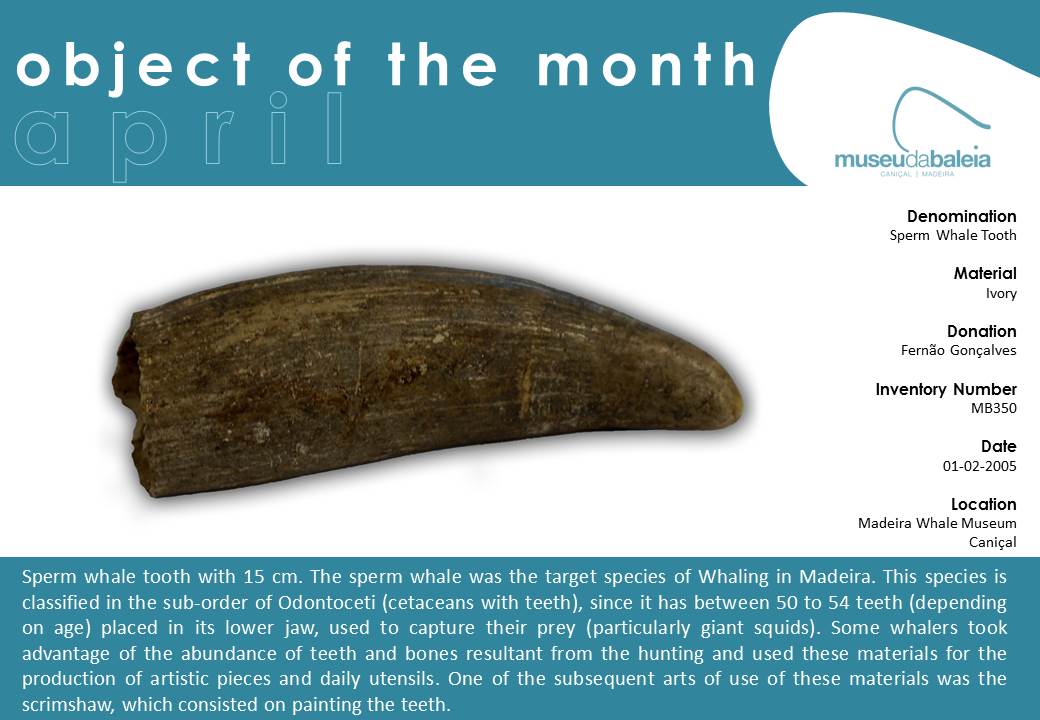 Peça do mês abril 2016 Ing