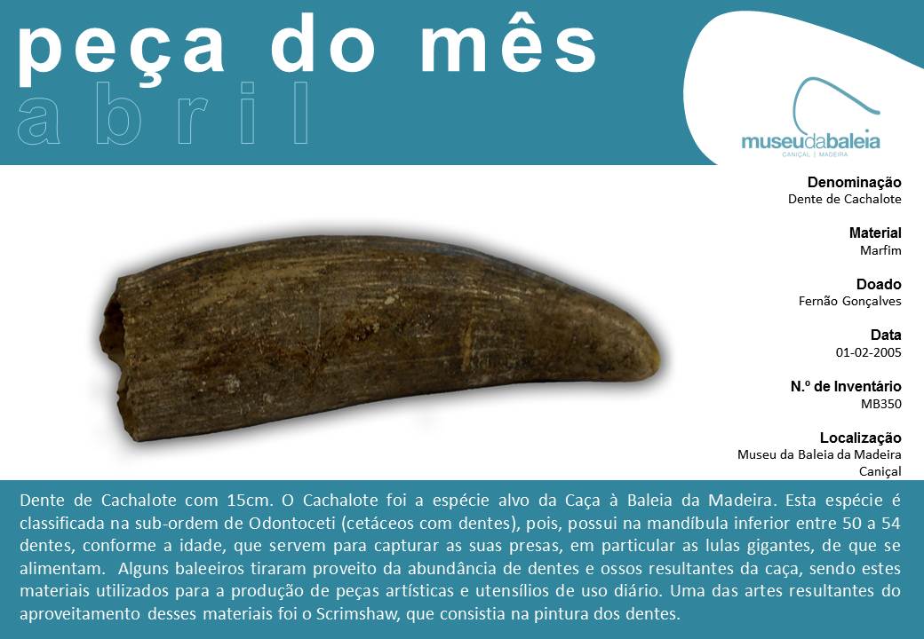 Peça do mês abril 2016 PT