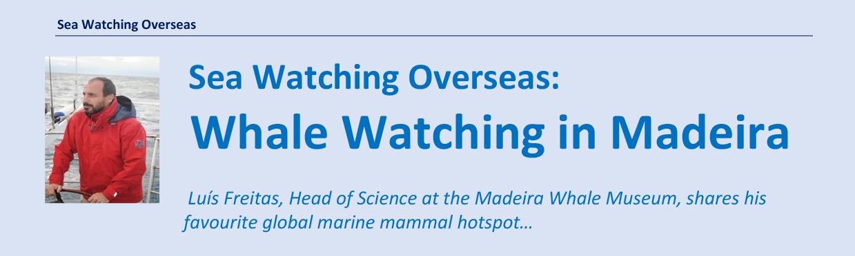 Sea Watcher Summer 2020-14 1