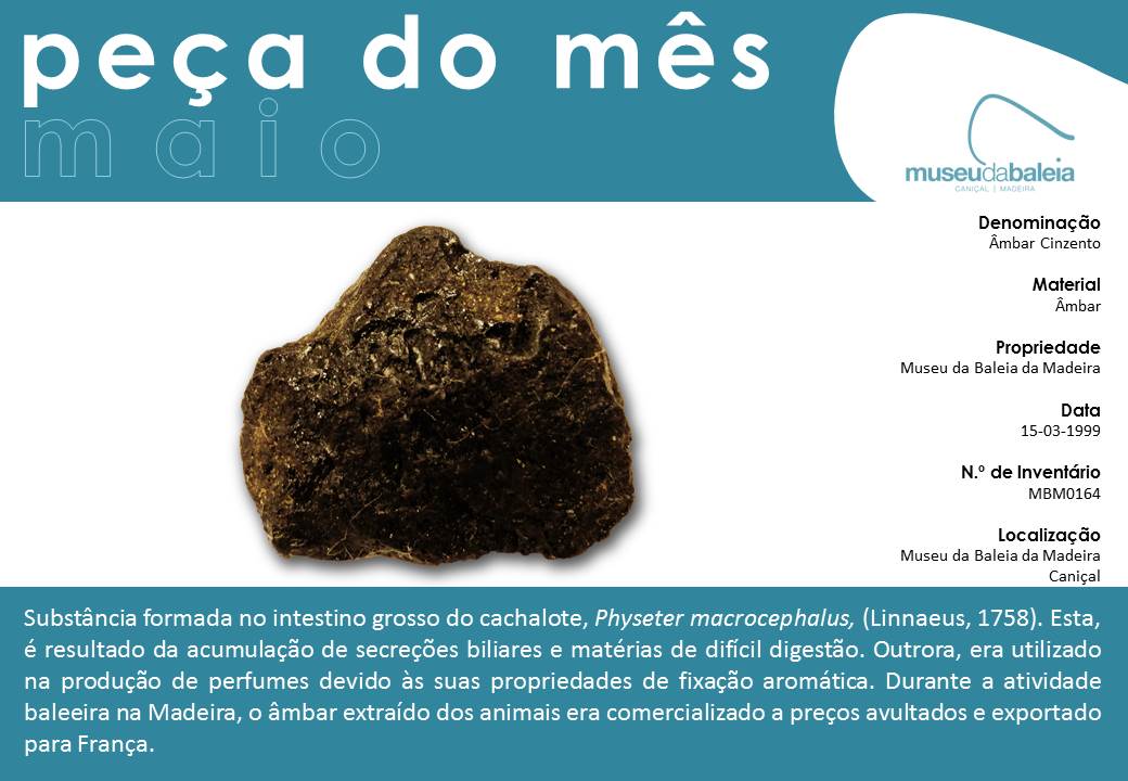 peça do mÊs - maio