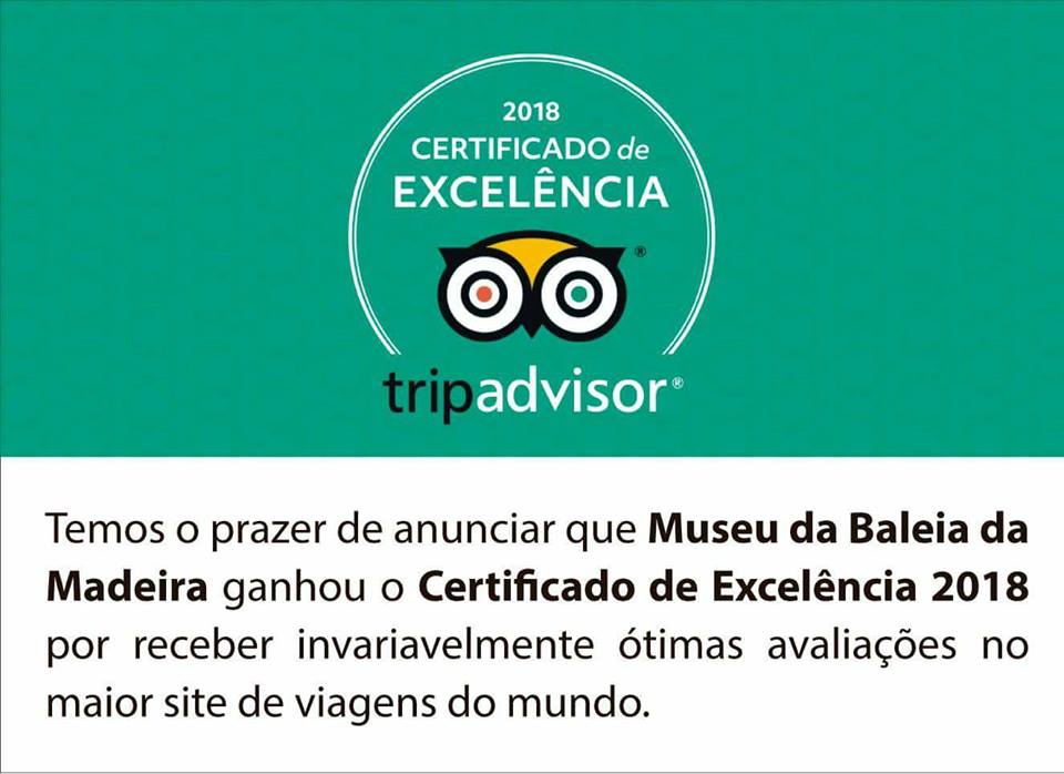 trip advisor