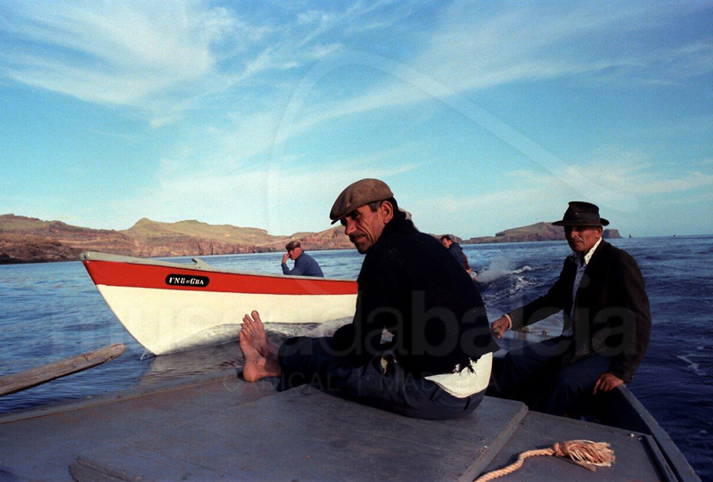 Baleeiras a motor. Imagem gentilmente cedida por Manuel Nicolau.