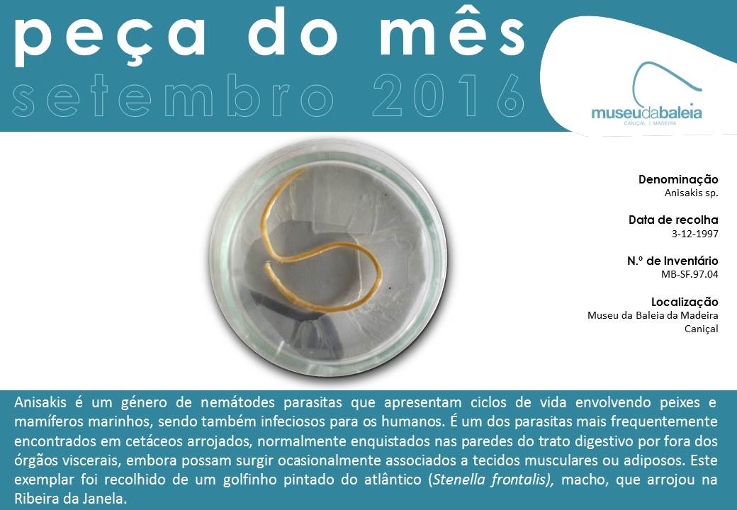 peçadomesagosto2016